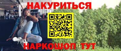 сатива Гусиноозёрск